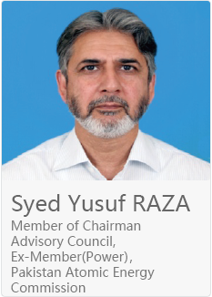 Syed Yusuf RAZA